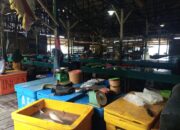 Hibah Pasar Ikan Jepang di Natuna Hilang ‘Ditelan Bumi’