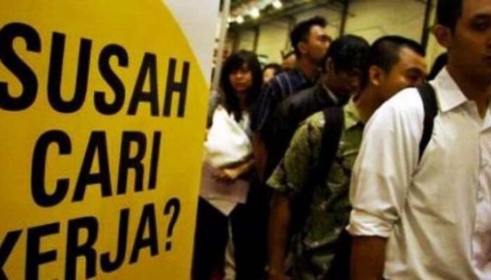 Investasi Melimpah Tapi Pengangguran Kepri 6,87%, Ada Apa dengan Pasar Kerja Kepri?