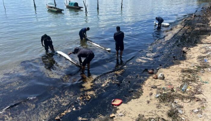 Polda Kepri Bentuk Tim Pencari Fakta Selidiki Asal Muasal Limbah di Pantai Nongsa
