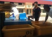 [VIDEO] Pedagang di Sentra Pengolahan Ikan Natuna ‘Tumbang’ Akibat Sepinya Pembeli