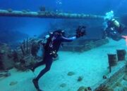 [VIDEO] Koleksi Botol Wine Kapal Karam Eropa Berserak di Dasar Laut Natuna