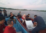 Polisi Tangkap 4 Orang Penyelundup 5.500 Benih Lobster ke Singapura via Batam