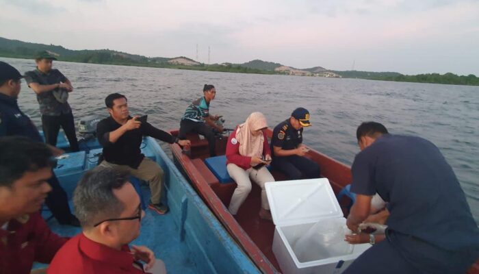 Polisi Tangkap 4 Orang Penyelundup 5.500 Benih Lobster ke Singapura via Batam