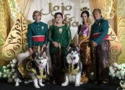 Pernikahan Anjing Pakai Adat Jawa Dikecam!
