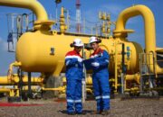 Moda Pipa dan Non Pipa, PGN Pacu Pemenuhan Gas Bumi di Wilayah Batam