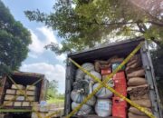 Skandal Barang Impor Ilegal di E-Commerce, Pengusaha: Harus Ada Logistik Hub di Batam!