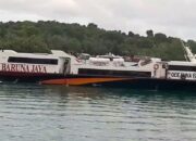 Ferry Oceanna 6 Rute Batam-Tanjungpinang Mati Mesin di Tengah Laut