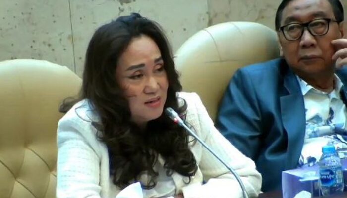 Cen Sui Lan Minta KemenPUPR Prioritaskan Jembatan Senayang-Sebangka Tahun 2024