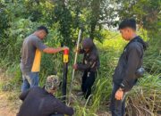 7 Fakta Kisruh Pulau Rempang, Seret Nama Tomy Winata