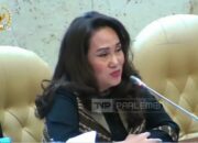 Cen Sui Lan Bicara terkait Irigasi di Jemaja Anambas dan Karimun ke Dirjen SDA