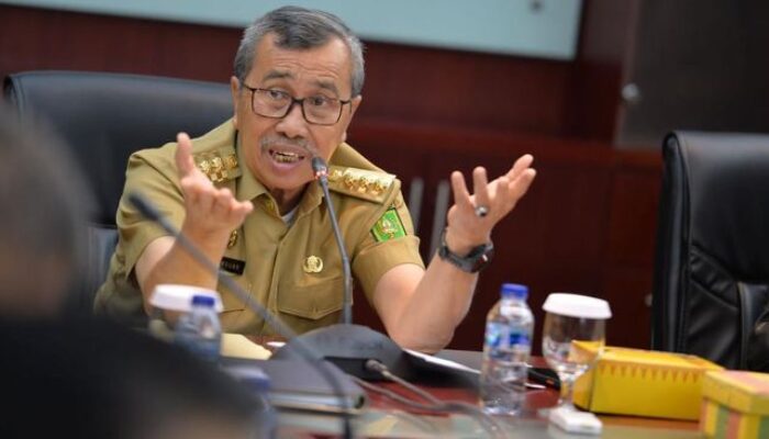 Kunjungan Gubernur Riau Syamsuar ke Jerman Dikritik: Sudah Mundur dan Anggaran Tidak Ada di APBD
