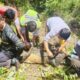 Buaya Betina Panjang 3 Meter Ditangkap Dekat Bandara Hang Nadim Batam