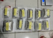 Selundupkan 20,8 kg Ketamine, 20,7 Kg Sabu dan 17,7 Liter Sabu Cair, BC Batam Amankan 2 WNA China