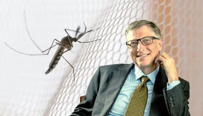 Bill Gates Pernah Lepas Nyamuk Jadi-jadian Wolbachia di Jogja
