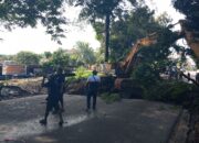 Perbaikan Jalan Ambles di Tiban Diperkirakan Rampung Selama 1,5 Bulan