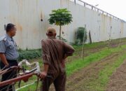 Asimilasi Kerja Sosial Warga Binaan, Rutan Batam Sulap Lahan Sisa Jadi Perkebunan