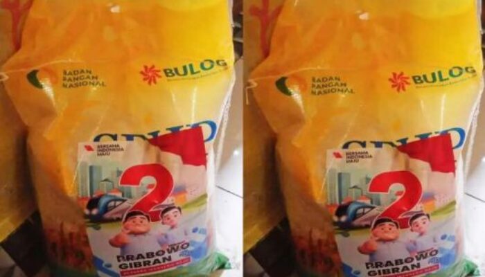 Viral Beras Bulog Berstiker Prabowo-Gibran, Ini Kata Airlangga