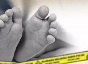 Hilang 3 Hari, Bocah Perempuan Ditemukan Tewas Tanpa Busana