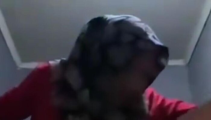 Digerebek Bareng Selingkuhan, Istri Polisi Ini Panjat Pintu Toilet