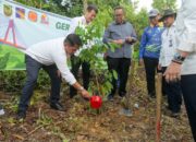 REI Tanam Seratus Pohon di Wilayah Tangkapan Air Waduk Duriangkang Batam