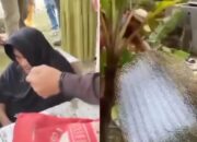 Kesal Tak Diberi Pinjaman Rp 200 ribu, Nenek 80 Tahun Bunuh Tetangganya