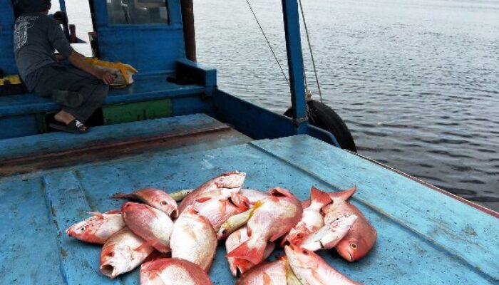 Bupati Wan Siswandi Sebut Datangkan Investor Kelola Sentra Perikanan Natuna, Namun..