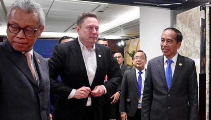 Luhut Beberkan Isi Pertemuan Jokowi dan Elon Musk di Bali