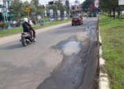 Pemko Batam Diminta Tak Pelit Alokasikan Anggaran Pemeliharaan Infrastruktur Jalan dan Penerangan