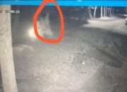 Polisi Cari Pemotor yang Viral Dibonceng Pocong