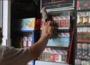 Ramai-Ramai Warga Pindah ke Rokok Murah, Ini Respons Bea Cukai