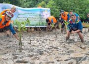 PLN Batam Tanam 1.000 Batang Mangrove di Pantai Nongsa