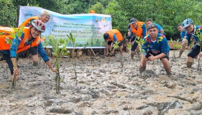 PLN Batam Tanam 1.000 Batang Mangrove di Pantai Nongsa