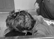 Pria di Siak Diterkam Harimau saat Cari Kayu di Hutan Dekat Kawasan Industri Tanjung Buton