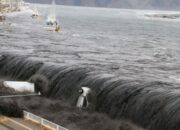 Bisakah Batam Kena Tsunami? Ini Kata BMKG