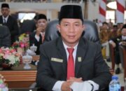 Anggota Terseret Isu Hubungan Terlarang, Ketua DPRD Natuna: Itu Ranah Personal