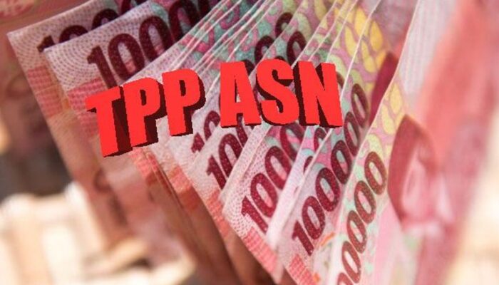 TPP ASN di Kepri Terancam Dikurangi? Ini Penjelasan Pemprov