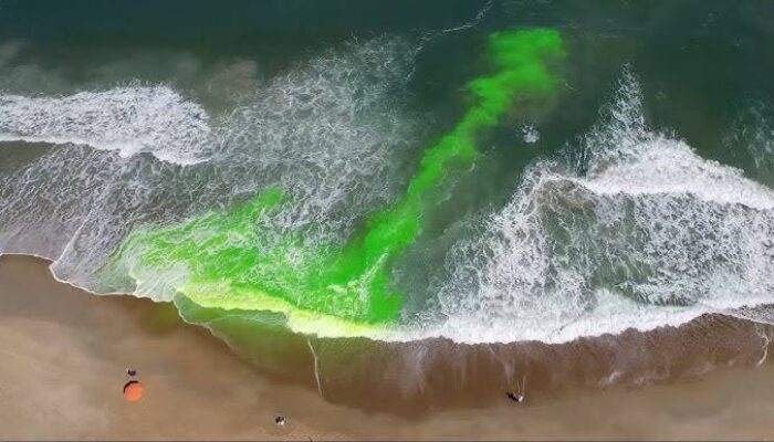 Tragedi di Pantai Drini: Belasan Pelajar SMP Terseret Rip Current, Beberapa Meninggal Dunia
