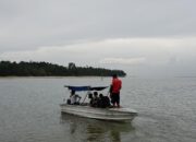 Hati-Hati! Buaya Terpantau di Pantai Bahagia, Nongsa: Imbauan Warga Dikeluarkan
