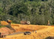 Sengketa Akses Jalan Tambang: PT Hermina Jaya Bantah Langgar Aturan Hutan Lindung