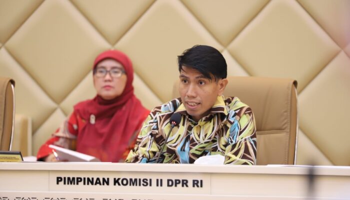 Tak Ada Lagi Tenaga Honorer! Begini Skema Penataan Pegawai Non-ASN Hingga 2026