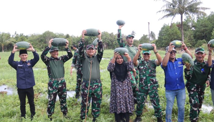 Sinergi PWI Kepri dan TNI, Panen Raya Semangka di Bintan Berlangsung Meriah