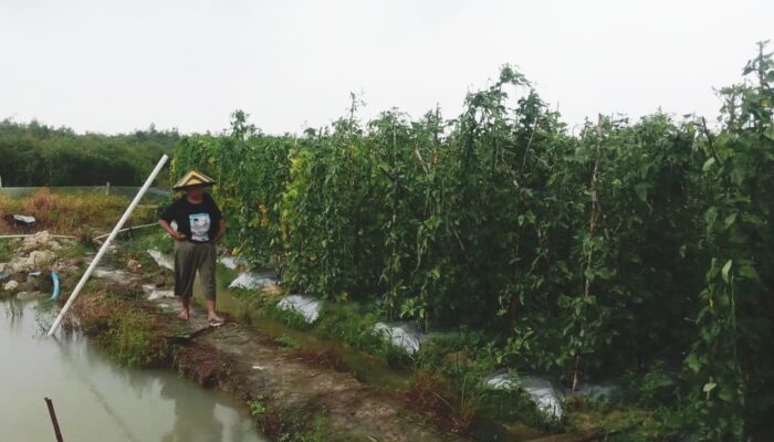 Penantian Panjang Warga Batubi: Harapan Baru di Tangan Bupati Natuna Cen Sui Lan