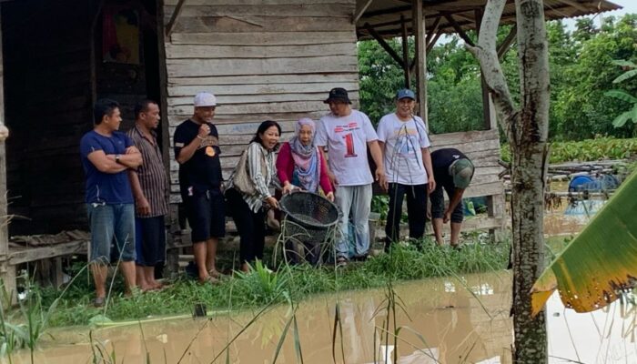 Dukung Program Ketahanan Pangan, PWI Kepri Kelola Budi Daya Ikan Air Tawar
