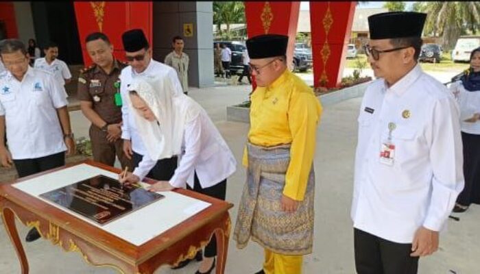 Bupati Natuna Resmikan Perpustakaan Idrus M Tahar, Jawab Tantangan Minat Baca di Era Digital