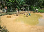 Petani dan Pembudidaya Ikan di Nongsa Batam Teriak Rugi Ratusan Juta Akibat Cut and Fill Brutal