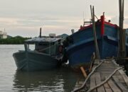 10 Ton Solar Ilegal Disita di Batam, Siapa Dalang di Baliknya?