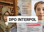 5 Fakta Dewi Astutik: Buronan Interpol Kasus Sabu Rp 5 Triliun yang Diselundupkan Lewat Batam