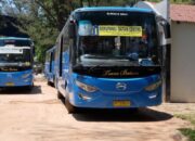 Trans Batam Resmi Diatur Perda, Anggaran Operasional Capai Rp50 Miliar per Tahun