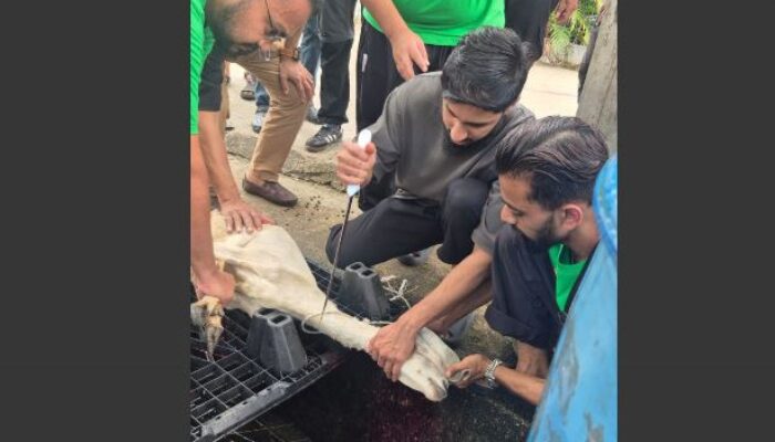 Warga Singapura Ramaikan Iduladha di Batam, Bawa Puluhan Hewan Kurban untuk Warga Miskin