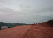 Laporan Perusakan Hutan Lindung di Batam Dilimpahkan Diam-Diam, Pelapor Kecewa Berat